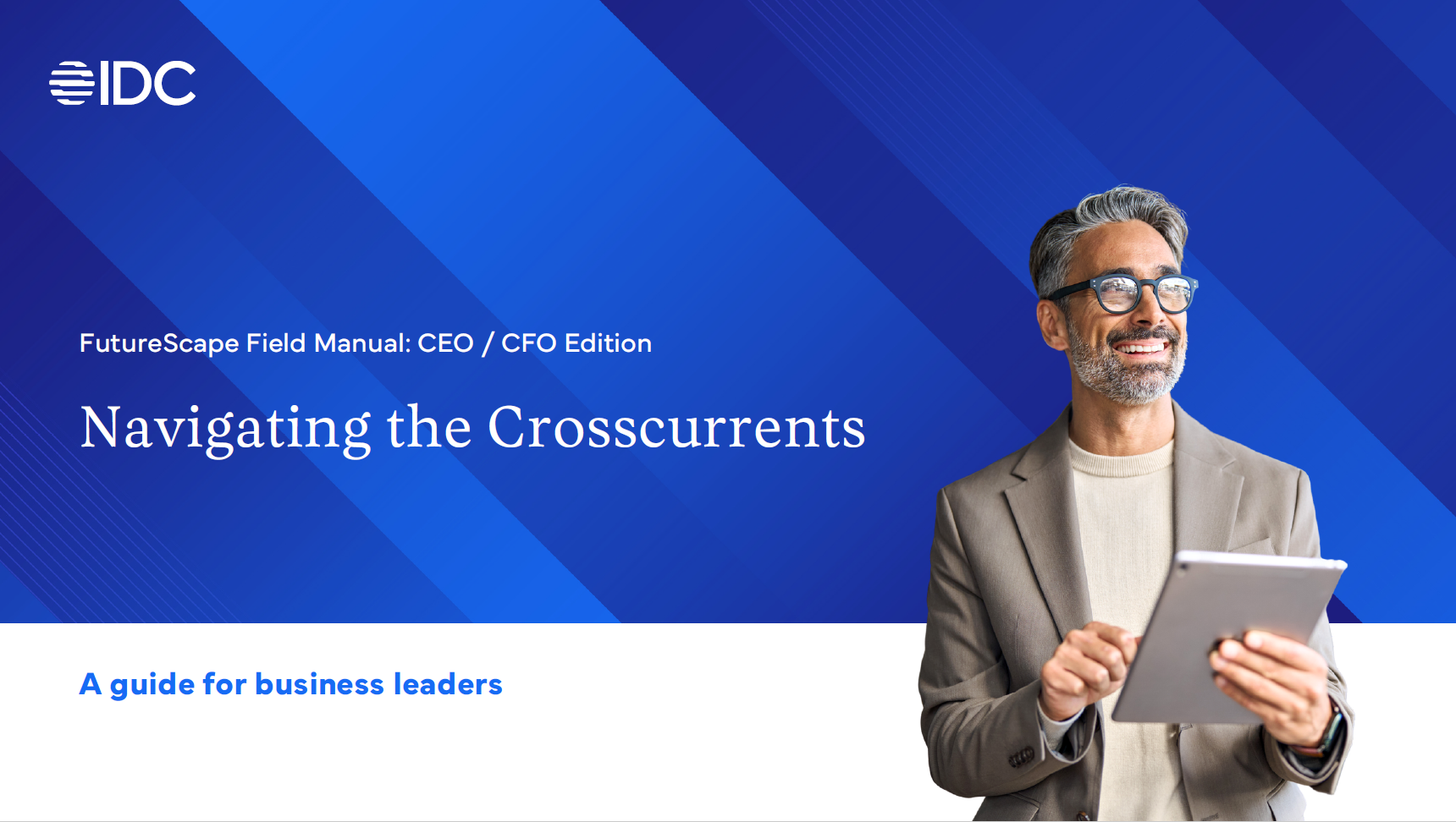 Navigating the Crosscurrents eBook Cover